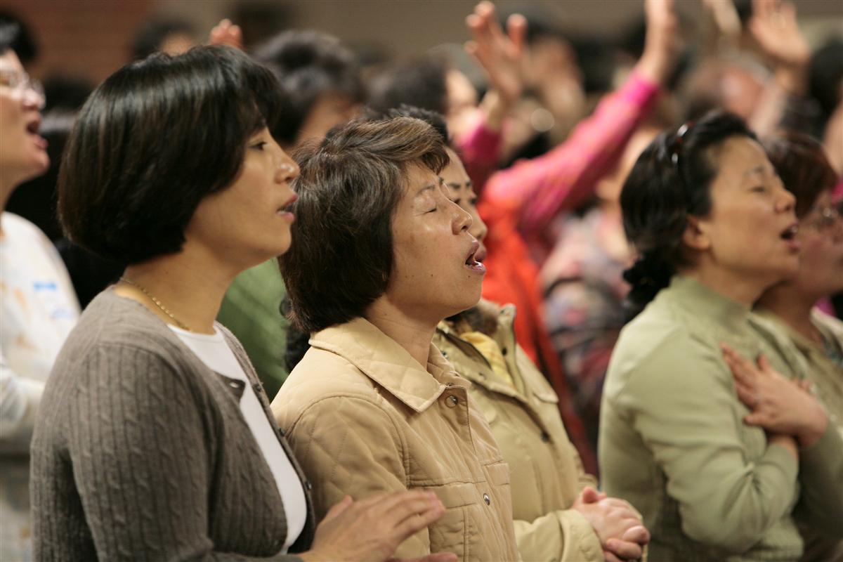 IMG_9031 (Custom).jpg